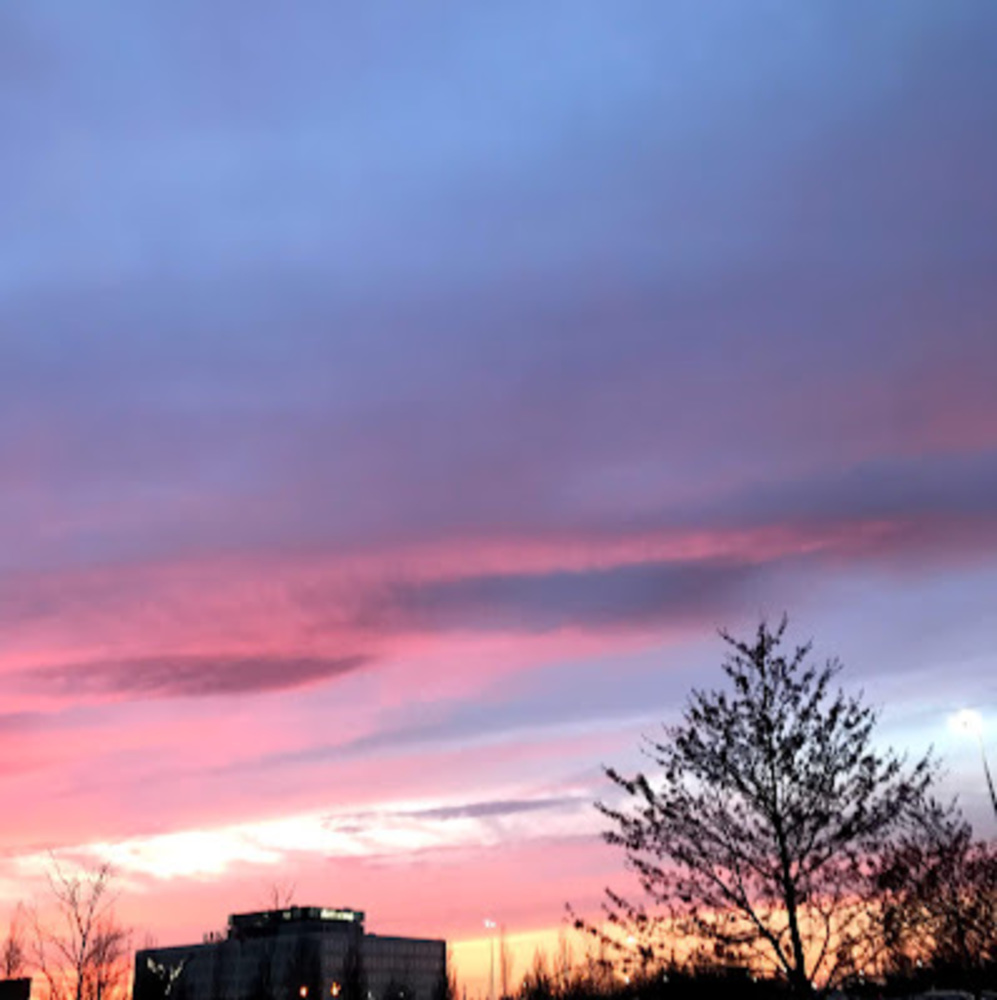 Meet your Posher, Jannae